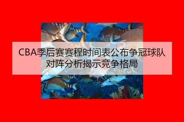 ji-hou-sai-sai-cheng-shi-jian-biao-gong-bu-zheng-guan-qiu-dui-dui-zhen-fen-xi-jie-shi-jing-zheng-ge-ju-2-740.jpg
